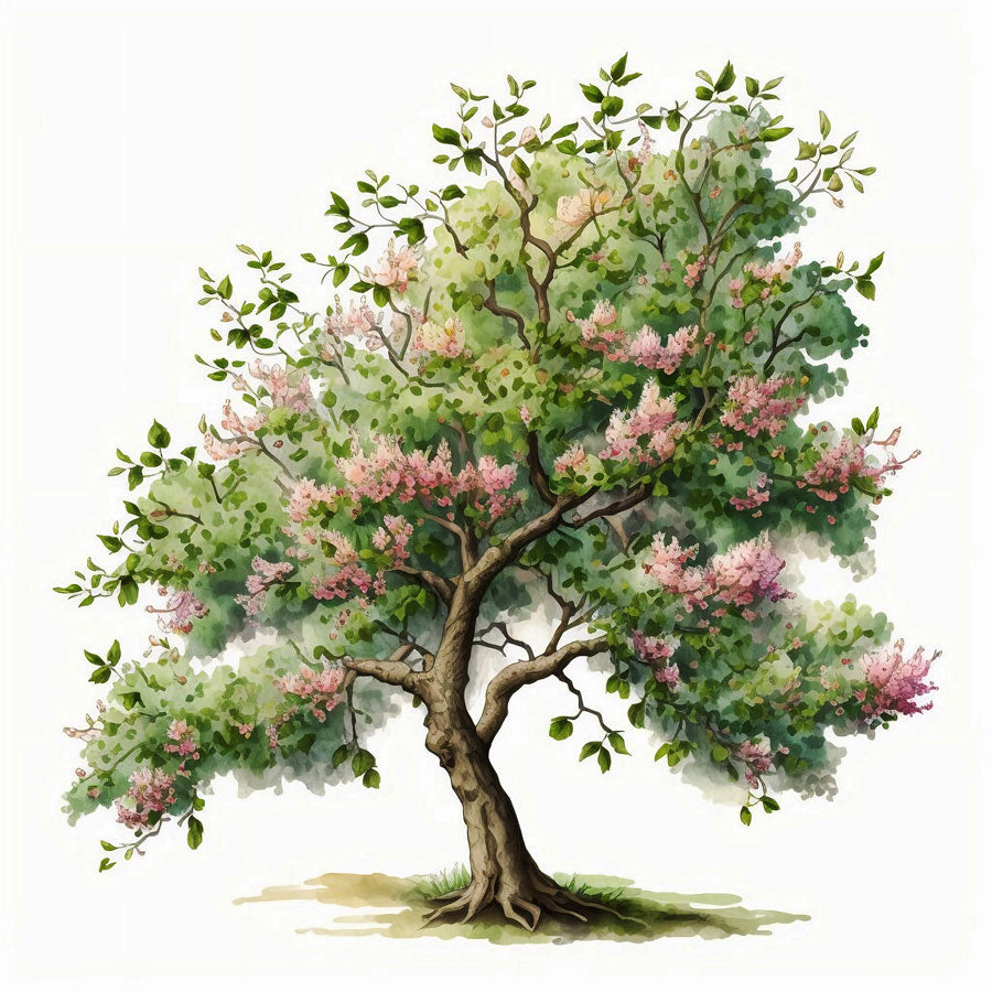 Apple tree in bloom Print