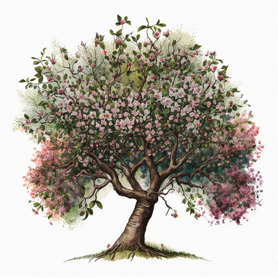 Apple tree in bloom Print