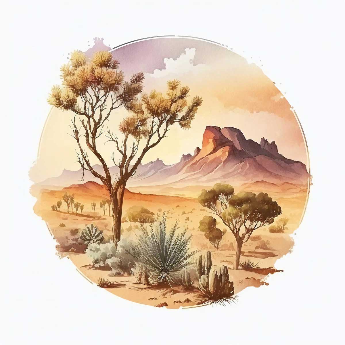 Sands of Time: Exploring the Desert Landscape