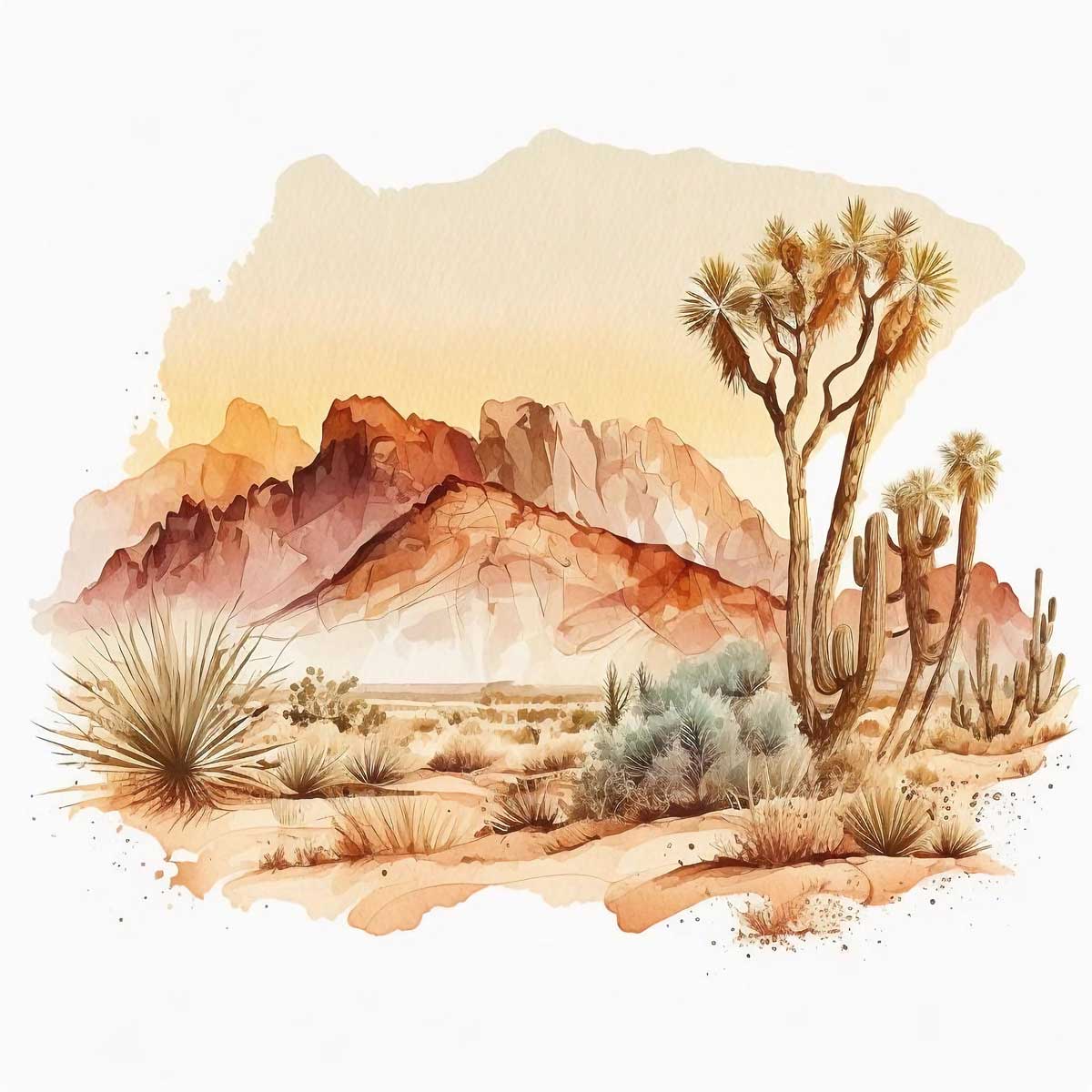 Sands of Time: Exploring the Desert Landscape