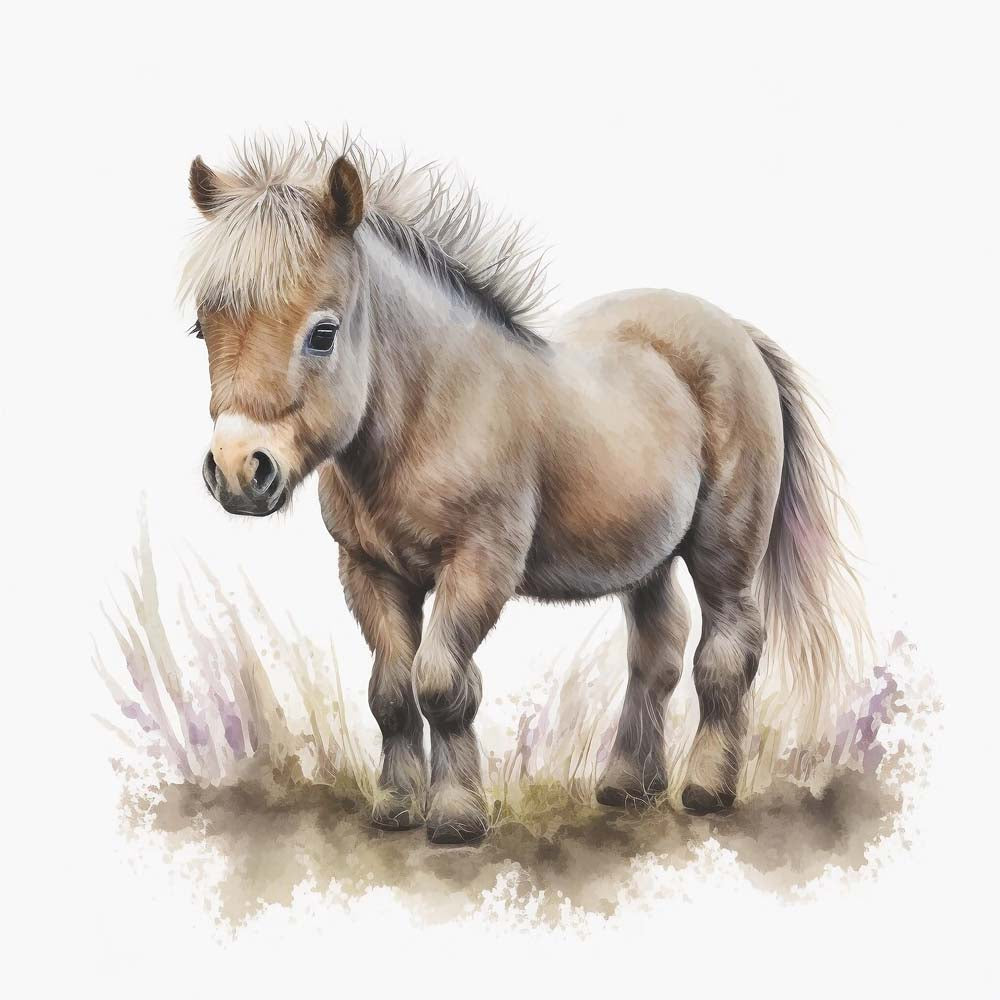 Cute little pony Horse Print