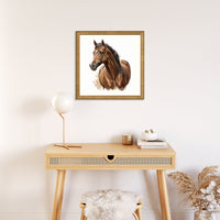 a-horse-with-interrupted-stripe-7