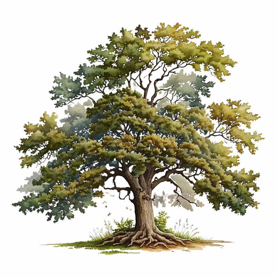 Majestic Oak Tree Print