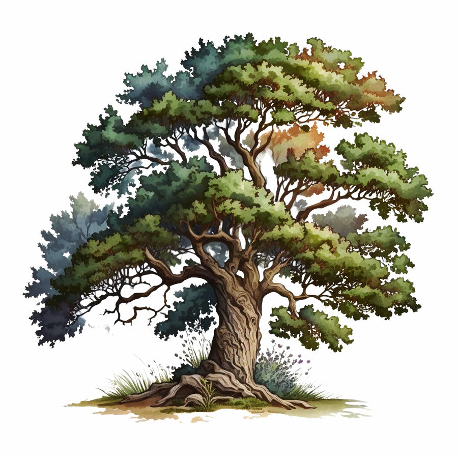 Majestic Oak Tree Print