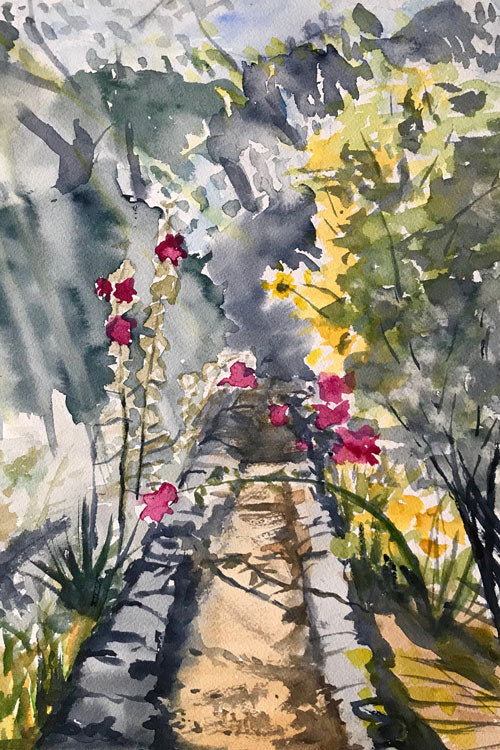 Scenery & Landscape