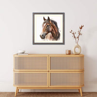 a-horse-with-interrupted-stripe-13