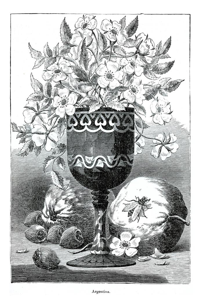 Victorian Black & White Botanical