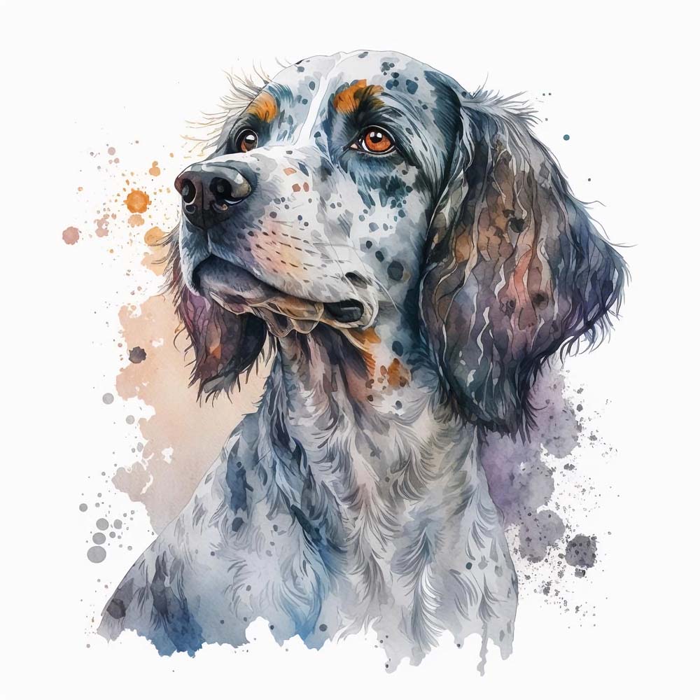 English Setter Dog Print - Framed Wall Art