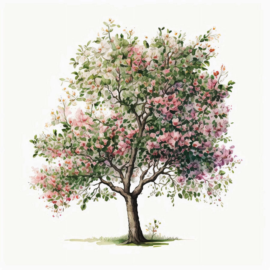 Apple tree in bloom Print