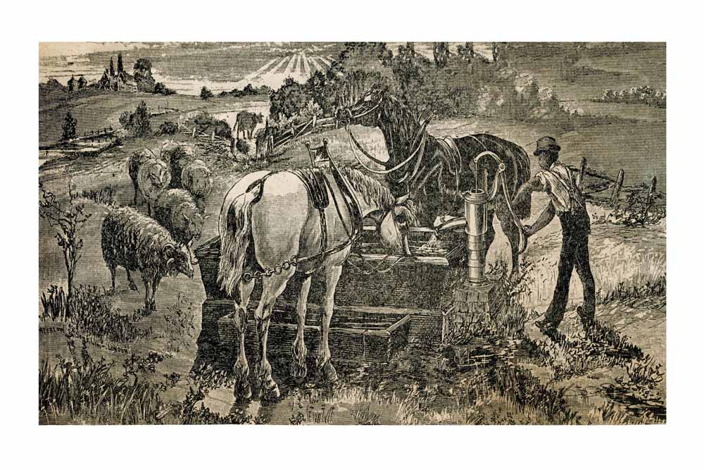 Vintage Black & White Horse