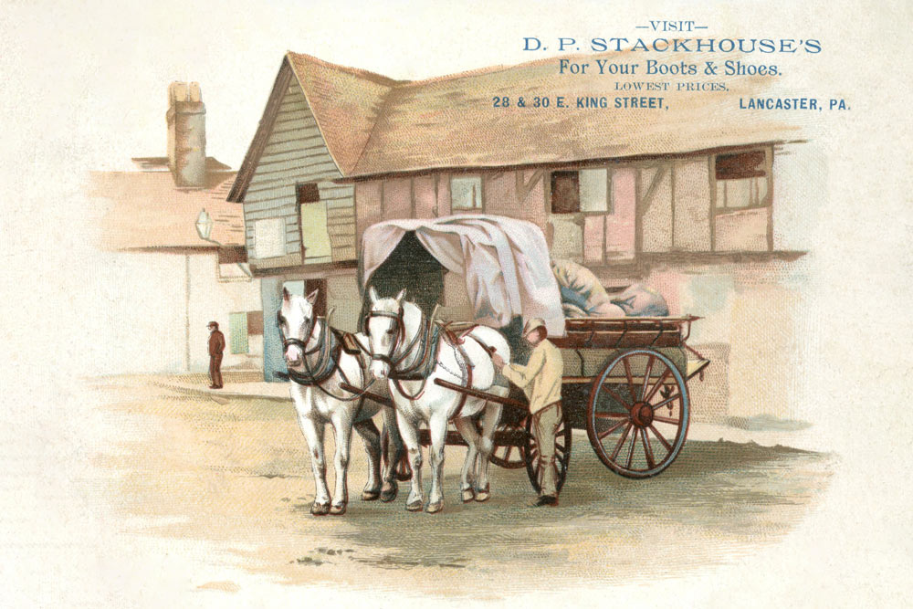 Vintage Black & White Horse
