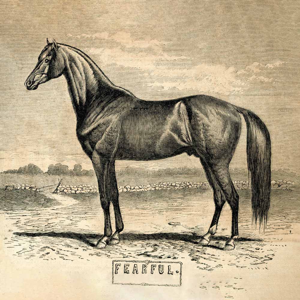 'Fearful' Vintage Horse