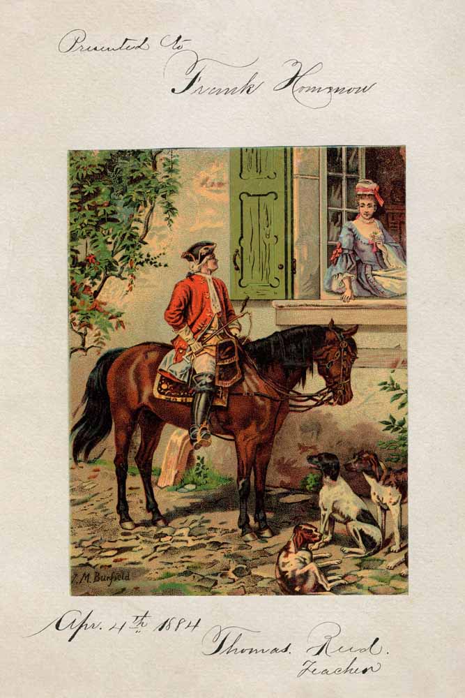 Rider Hunting dog Young woman Window