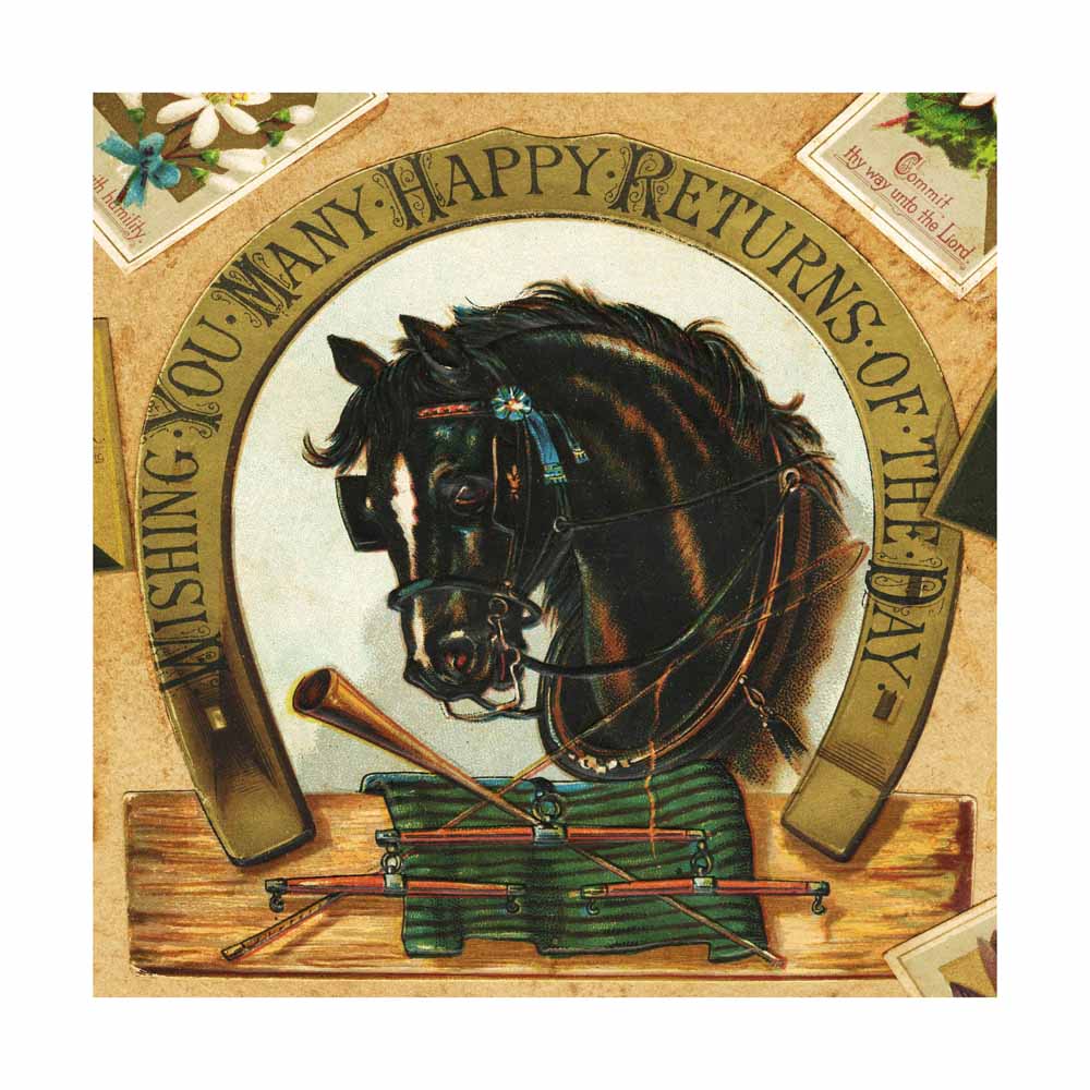 Vintage Black & White Horse