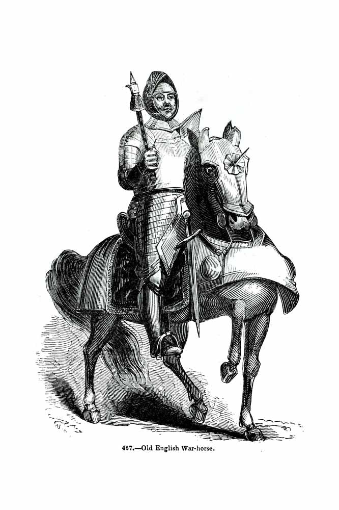 'Old English War Horse' Vintage Horse