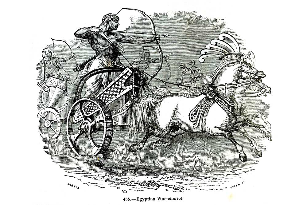 Vintage Black & White Horse
