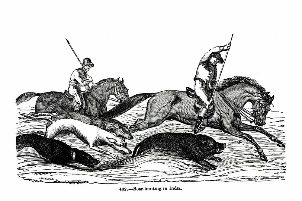 'Boar Hunting In India' Vintage Horse