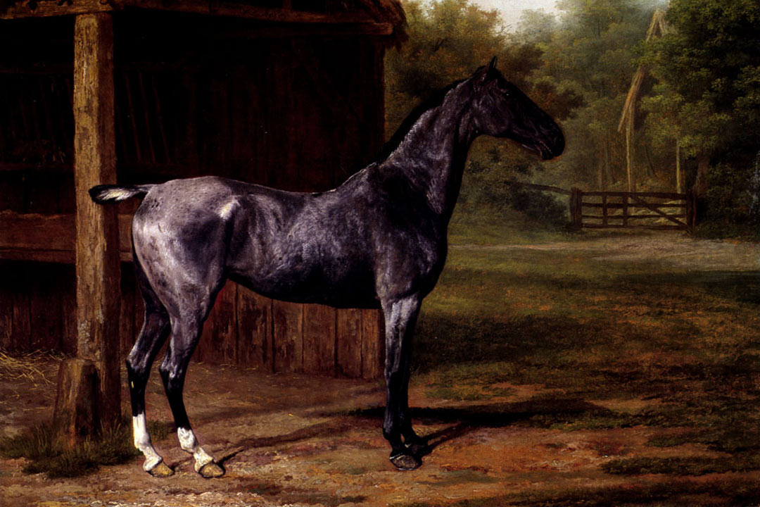 Lord Rivers Roan Mare In A Landscape