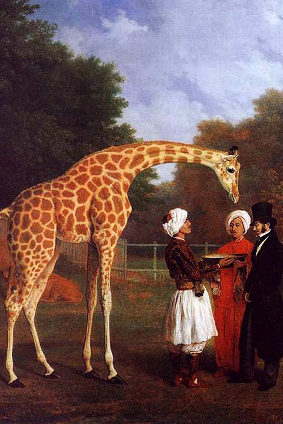 The Nubian Giraffe