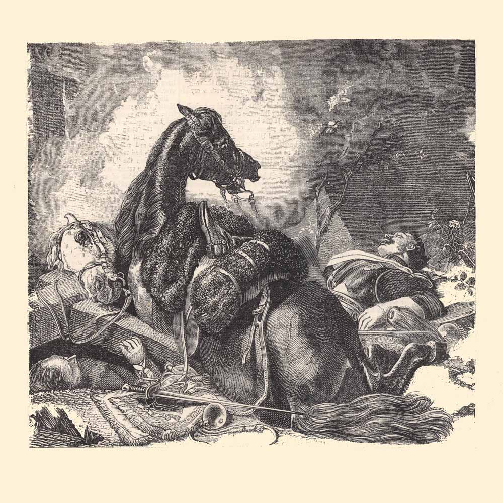 The War