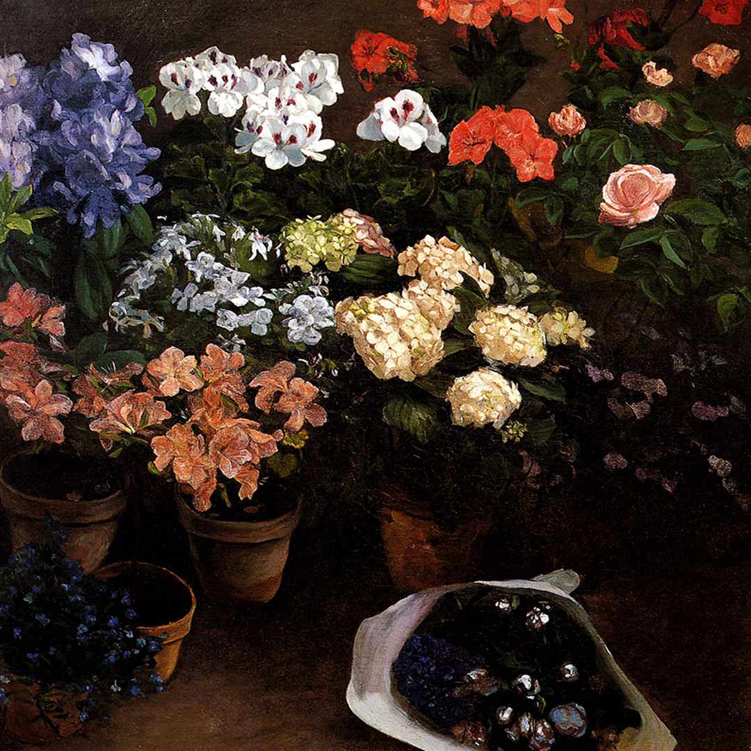 Study Of Flowers