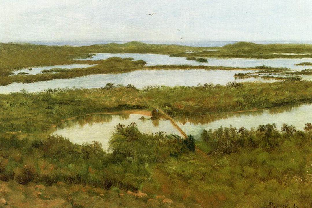 A River Estuary