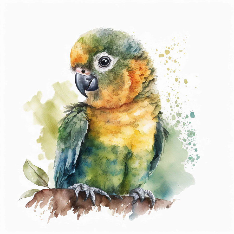 Baby Parrot Bird