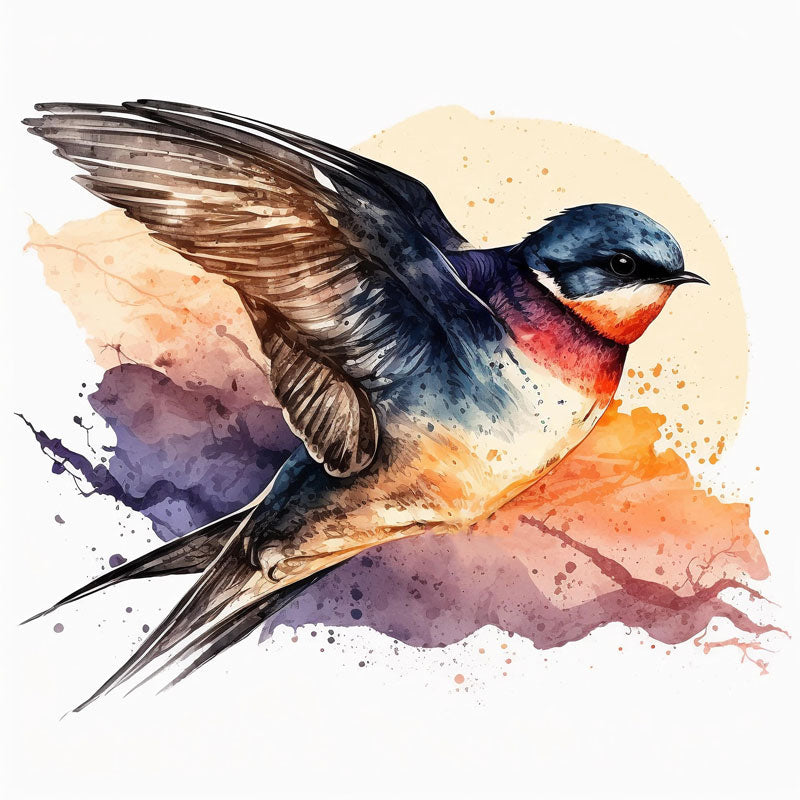 Swallow Bird