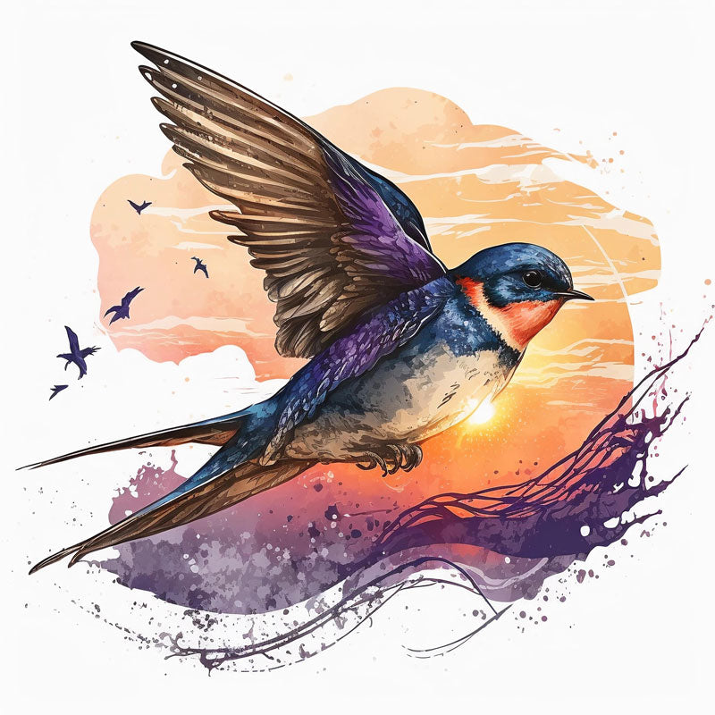 Swallow Bird