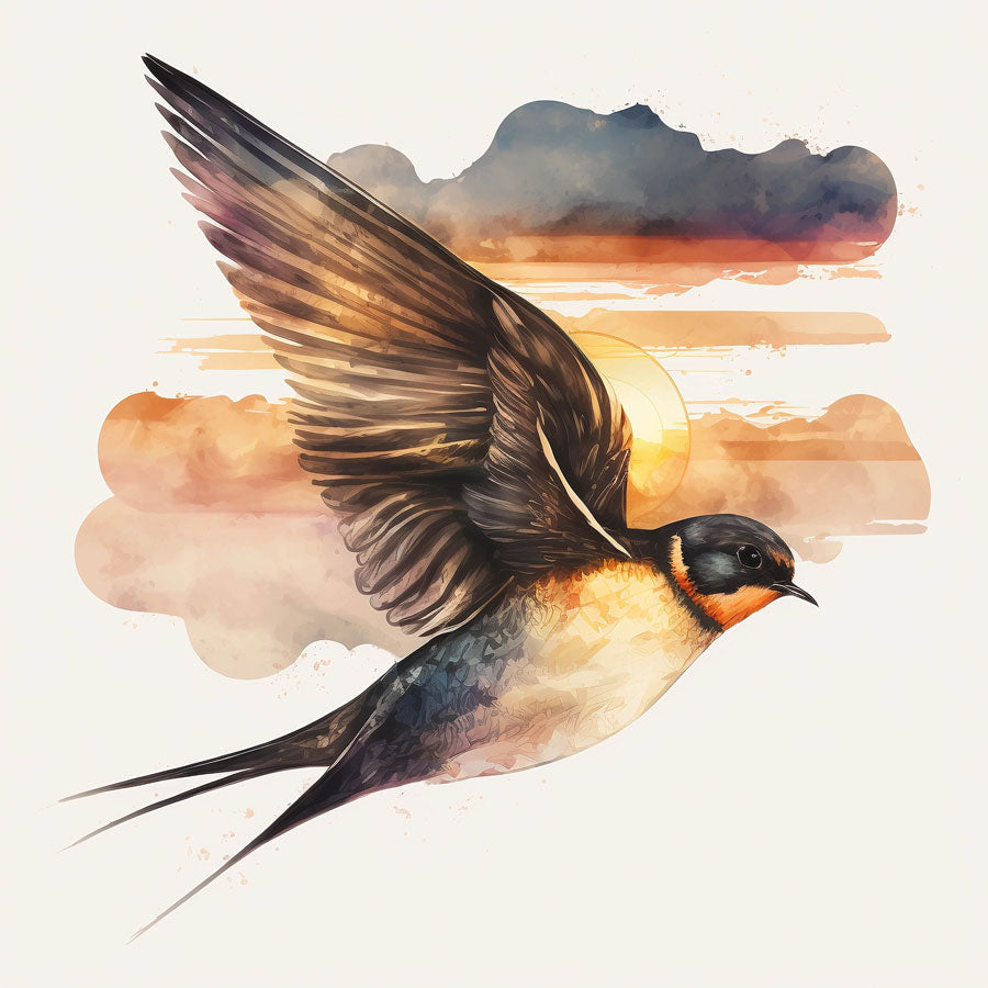 Swallow Bird
