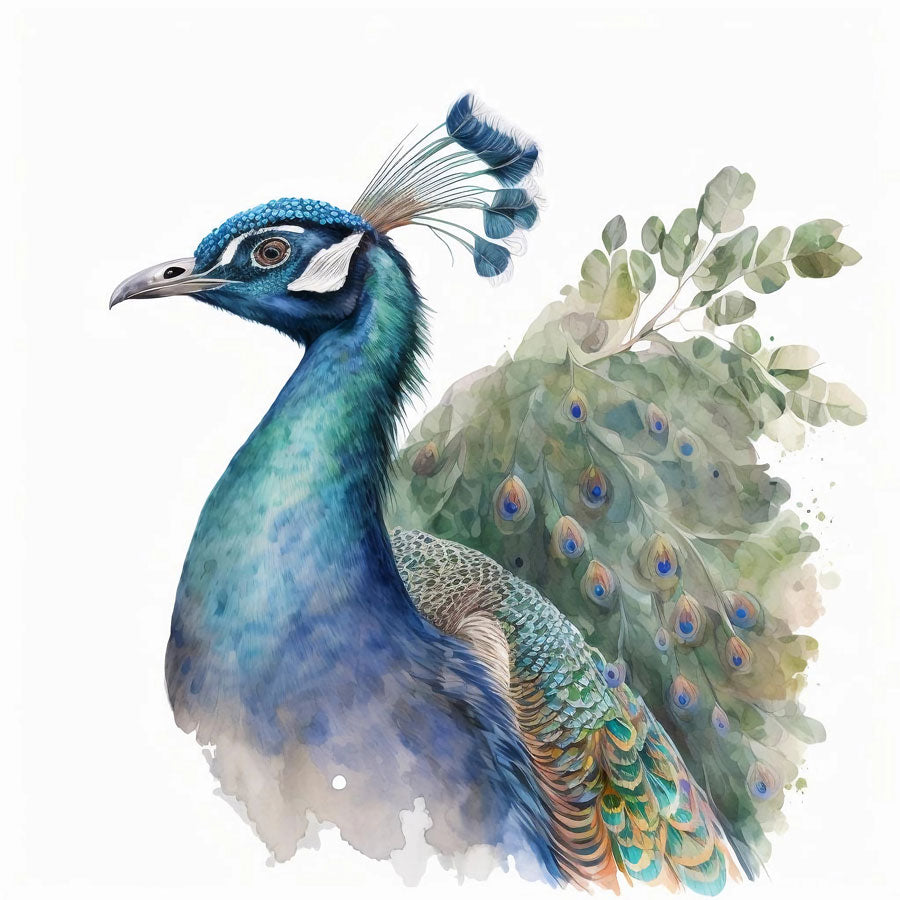 Peacock Bird