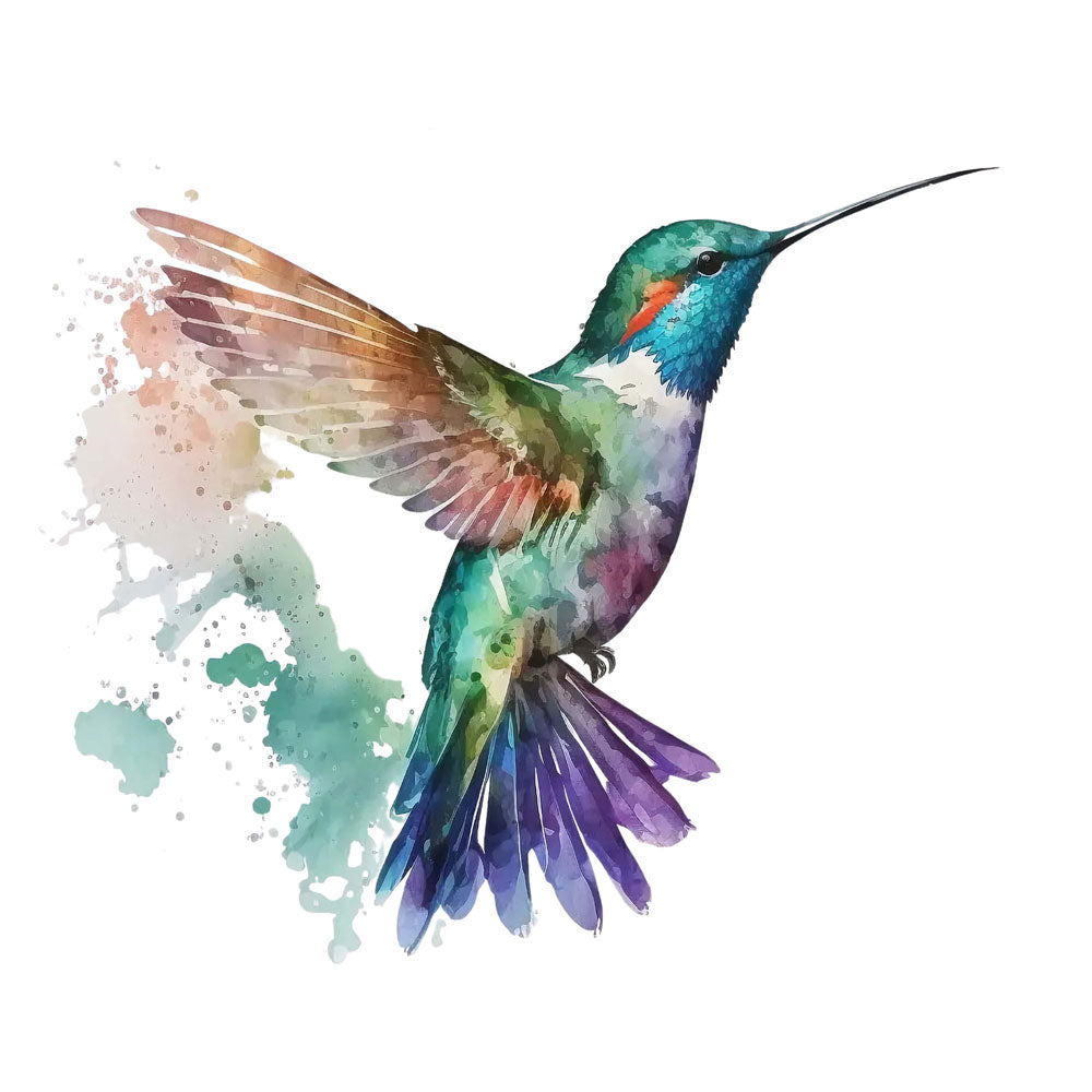Humming-Bird