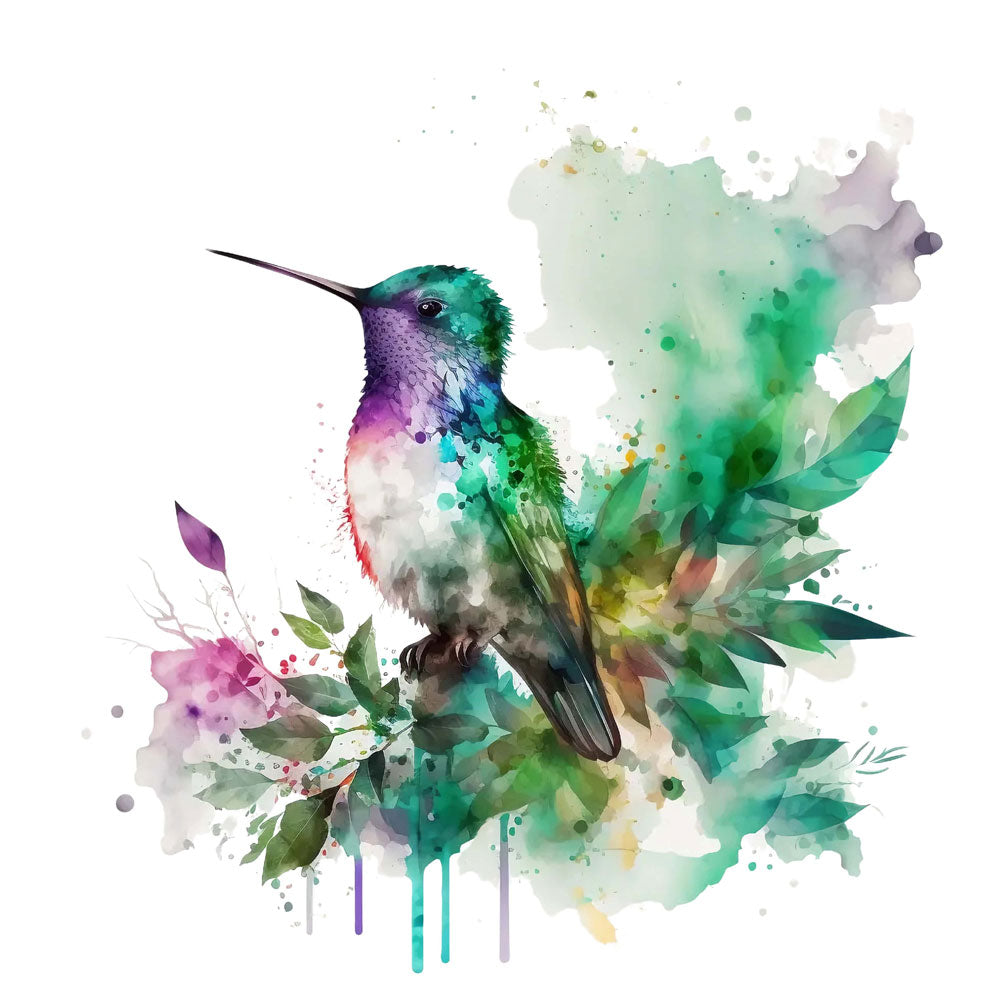 Humming-Bird
