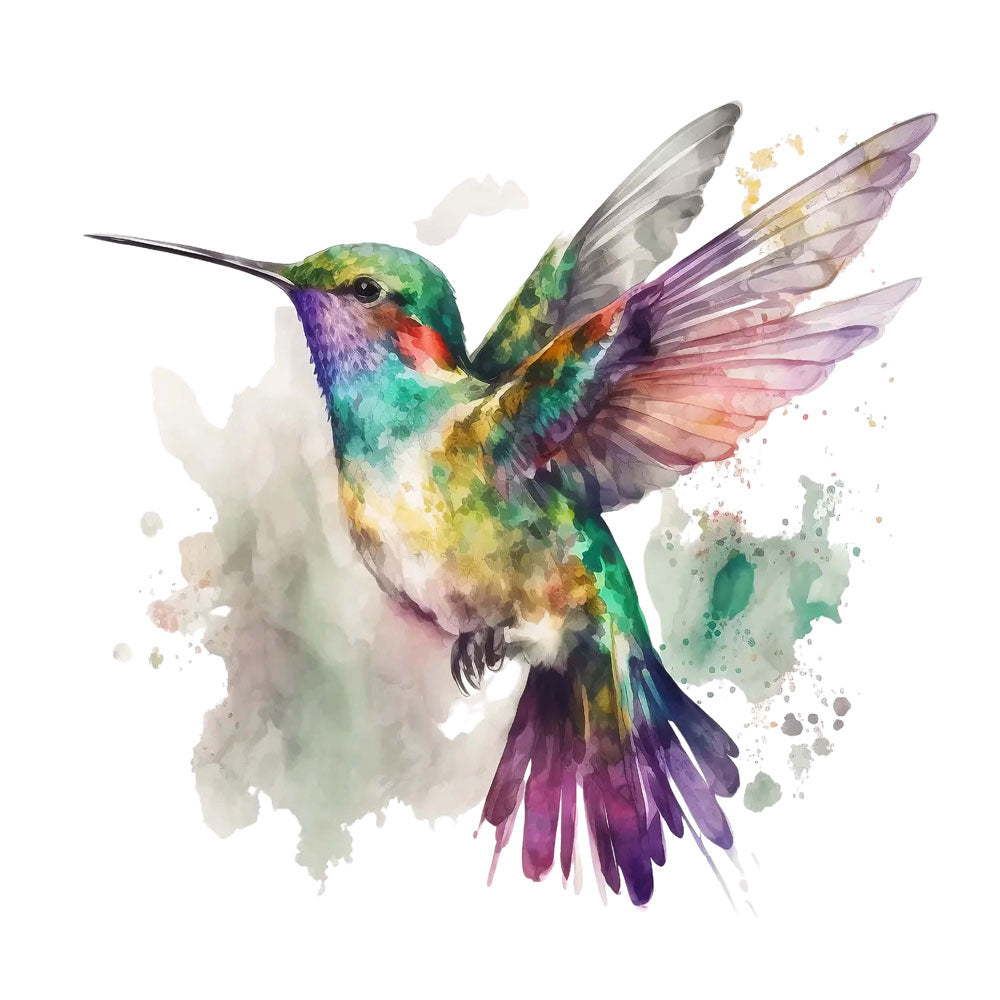Humming-Bird