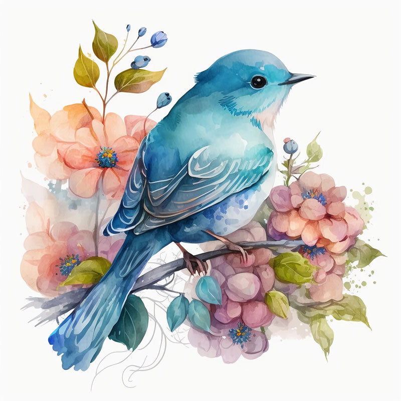 Sialia Mexicana Bird