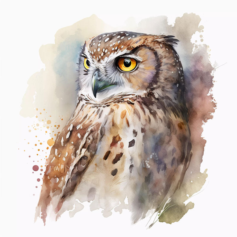 Eurasian Eagle-Owl Bird