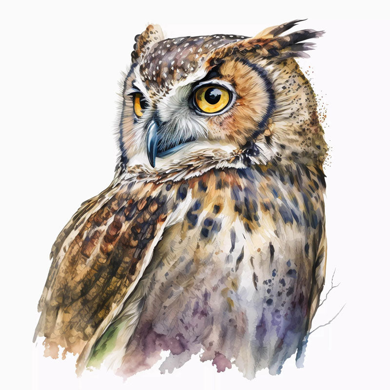 Eurasian Eagle-Owl Bird