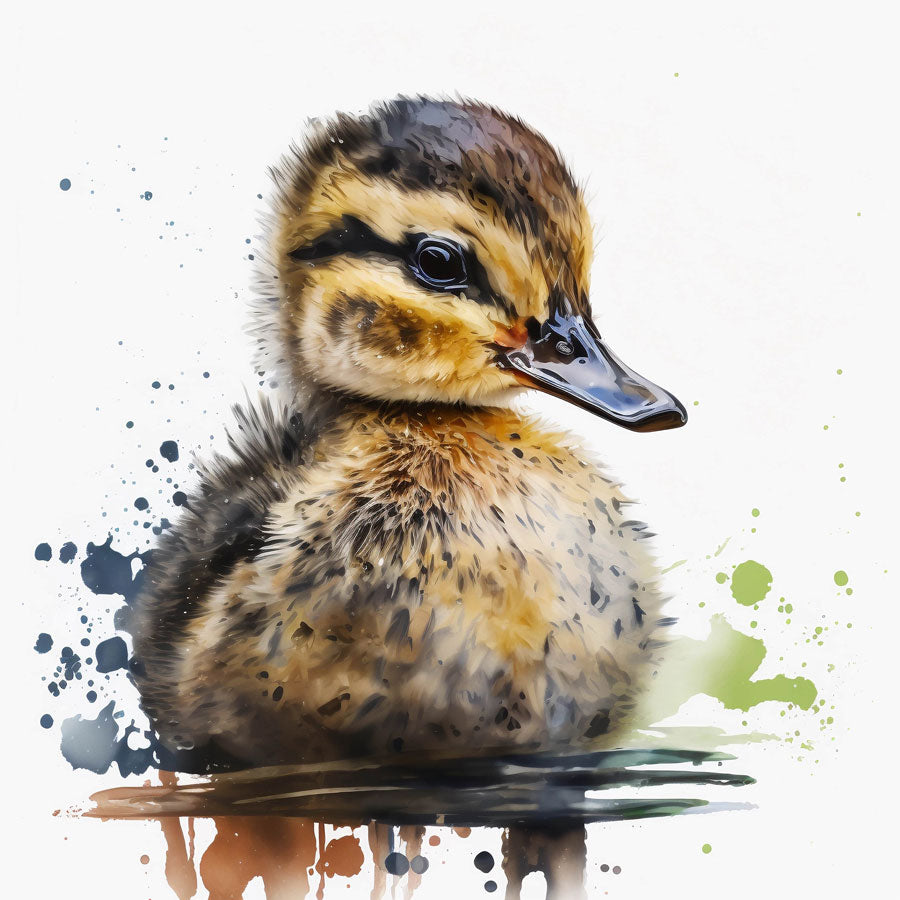 Mallard Duckling