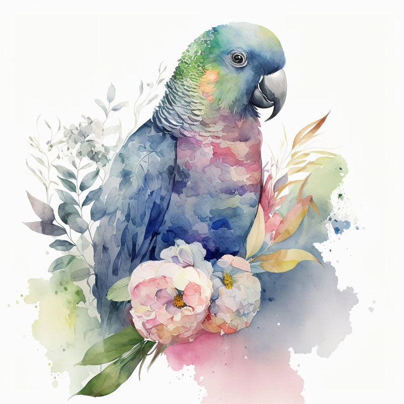 Collared Lorikeet Parrot Bird