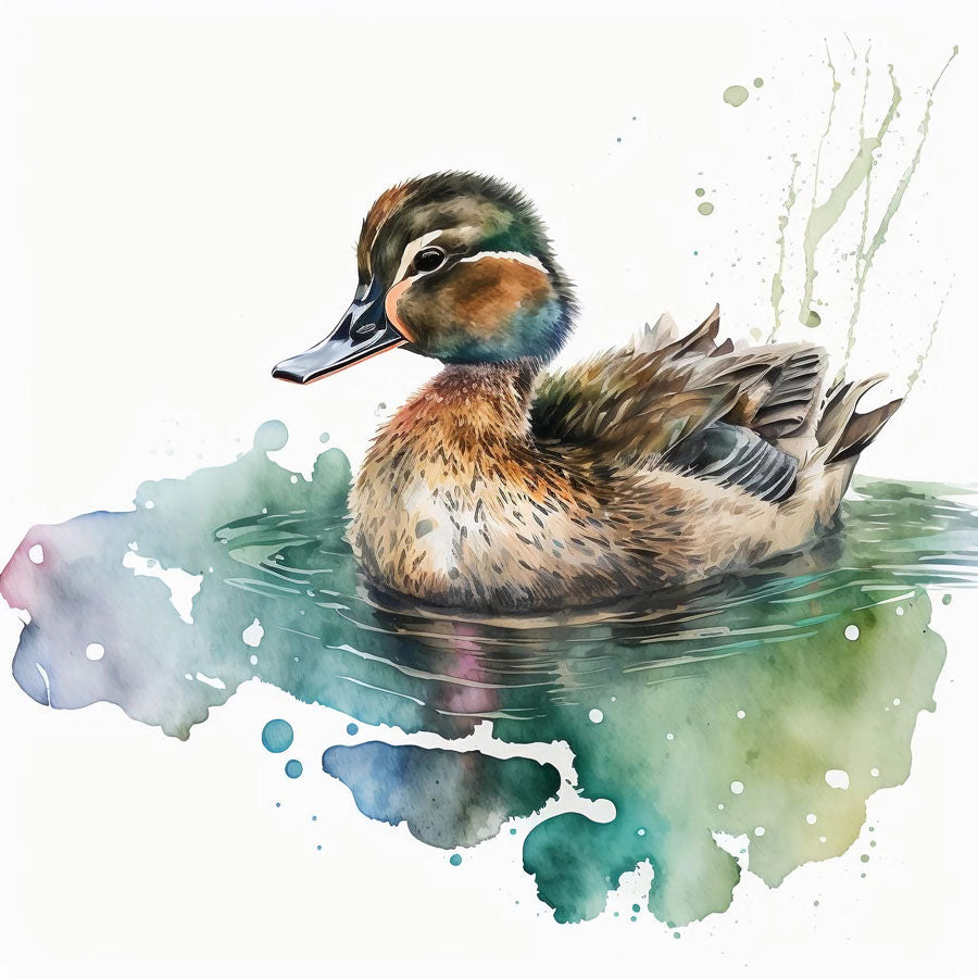 Mallard Duckling
