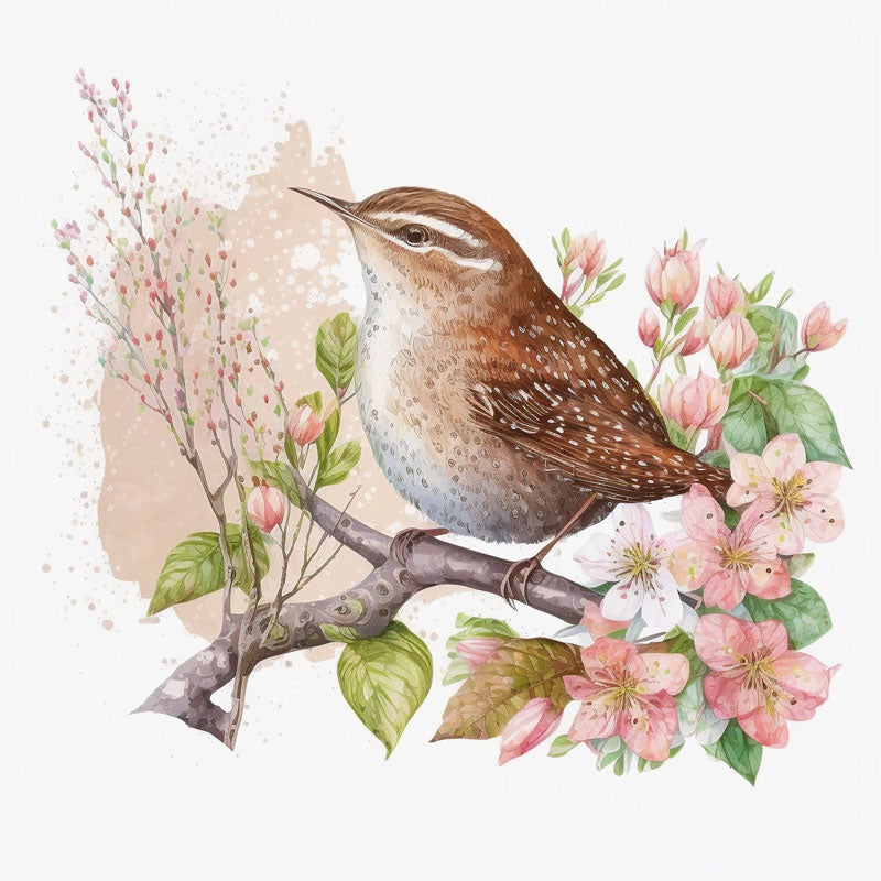 Wren Bird