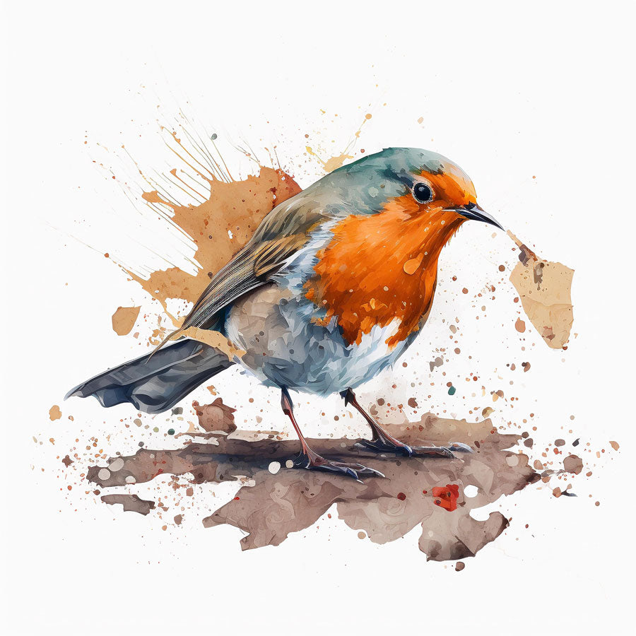 European Robin Bird