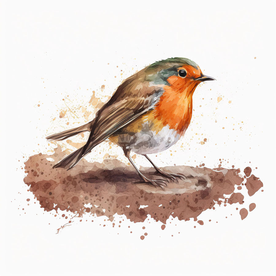 European Robin Bird