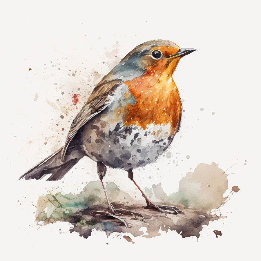 European Robin Bird