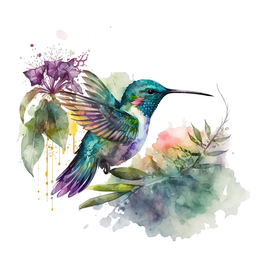 Humming-Bird