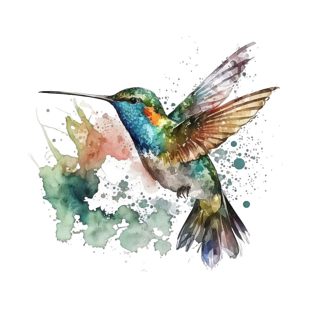 Humming-Bird