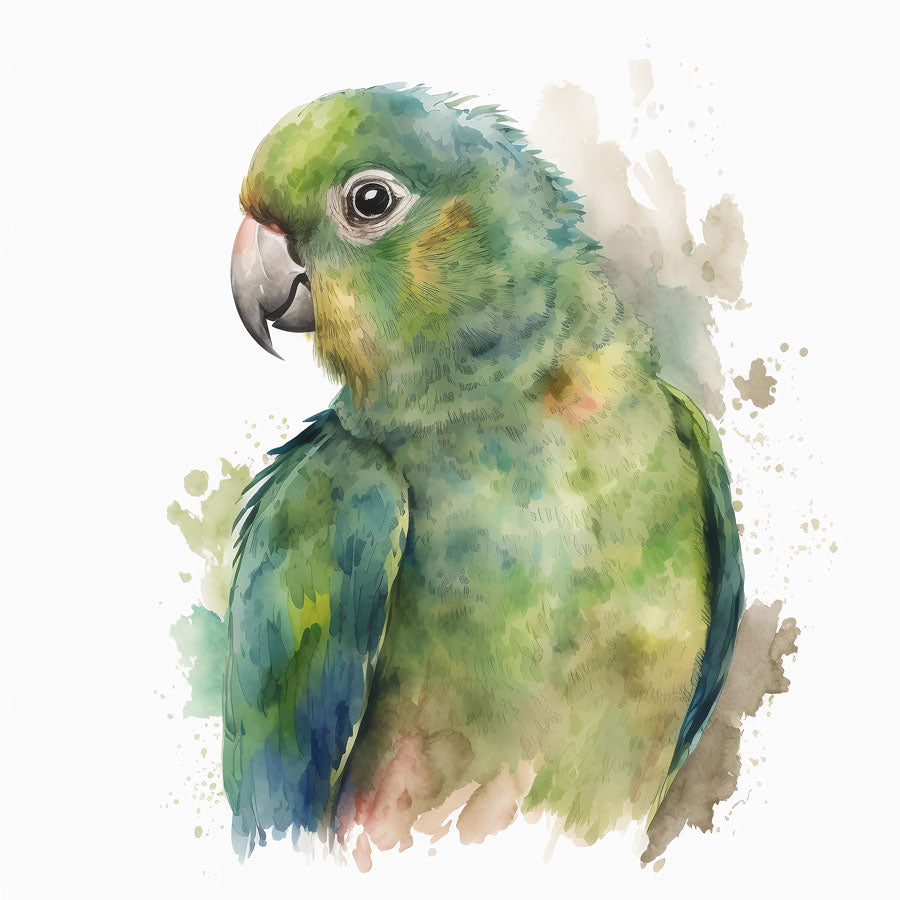 Parrot Bird