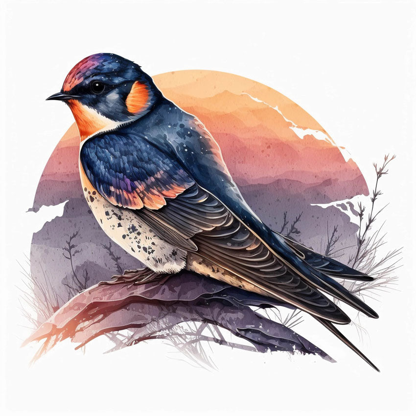 Swallow Bird