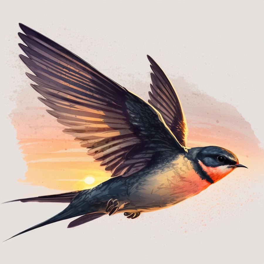 Swallow Bird