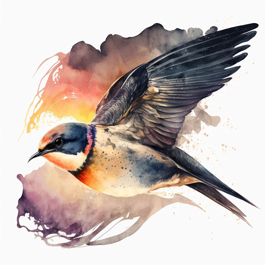 Swallow Bird